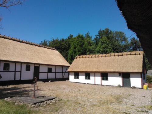 Dániai  nádazás10