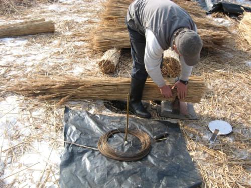 Nádaratás - kéve kötözése