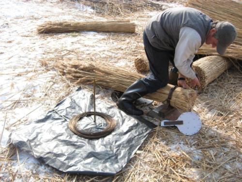 Nádaratás - kéve kötözése2