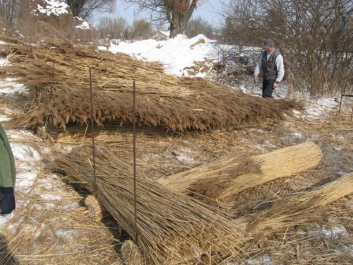 Nádaratás - kévék