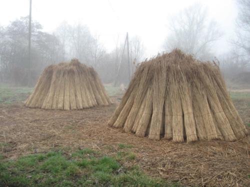 Nádaratás - összerakott kévék