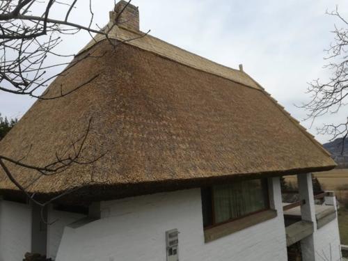Nádtető felújítás1
