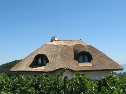 Nádtető felújítás2