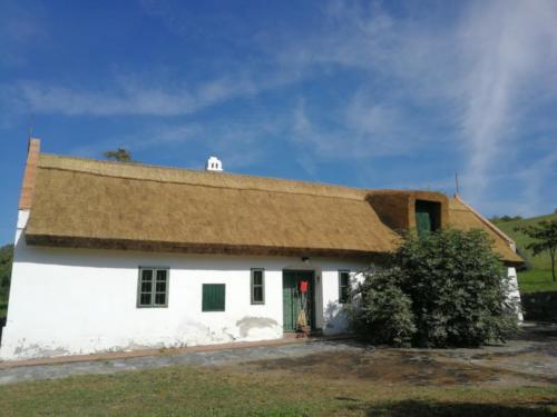 Badacsonytördemic - nyeregtető1